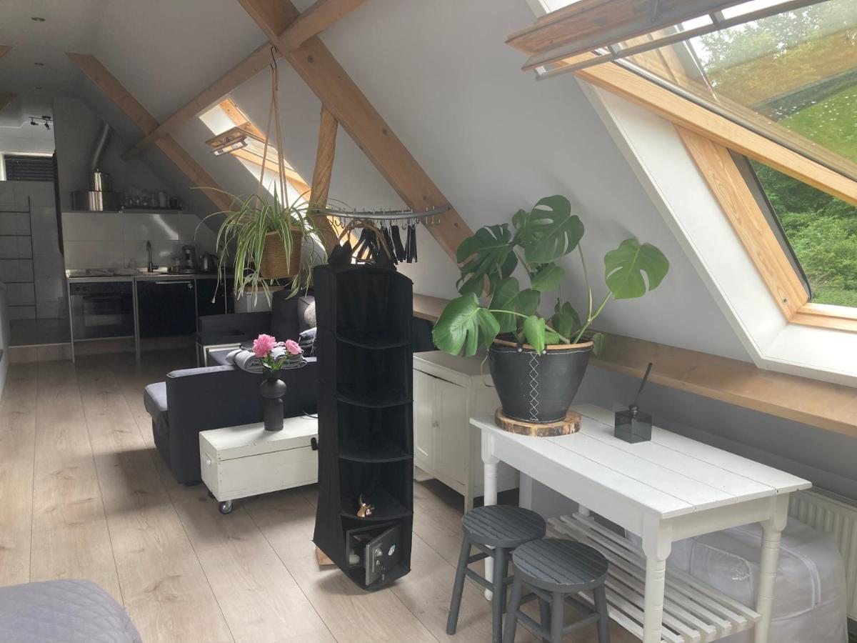 Bboosterweg3 Studio - Free Private Parking Heemskerk Exterior foto